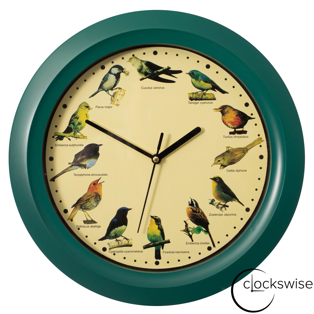 Clockswise 12" Round Decorative Singing Bird Wall Clock Battery-Operated with Wild Nature Sounds Hourly Chime and Non-Ticking for Home Office Kitchen Dining Bedroom Classroom and Living Spaces